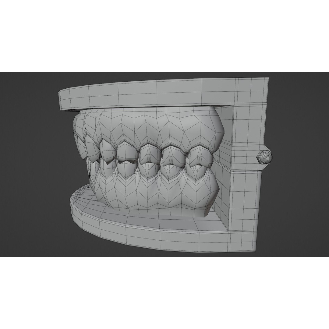 Dental Typodont Teeth 3D Model – Realistic Dental Asset, FBX, OBJ - View 14