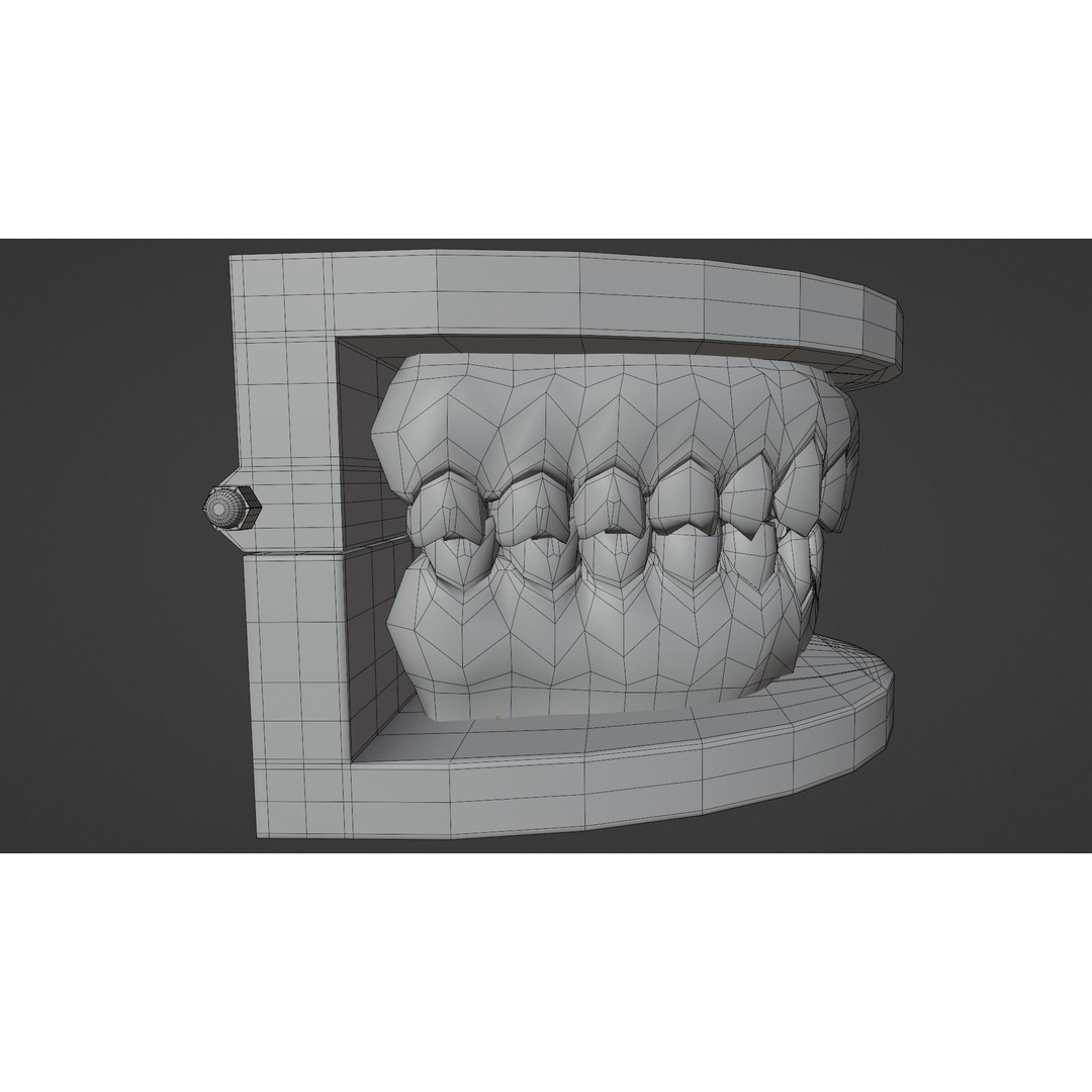 Dental Typodont Teeth 3D Model – Realistic Dental Asset, FBX, OBJ - View 18