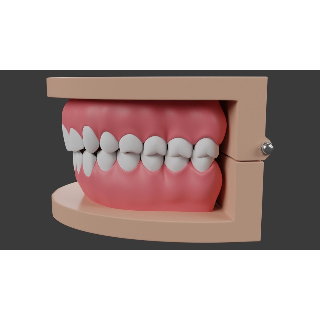 Dental Typodont Teeth 3D Model – Realistic Dental Asset, FBX, OBJ - View 5