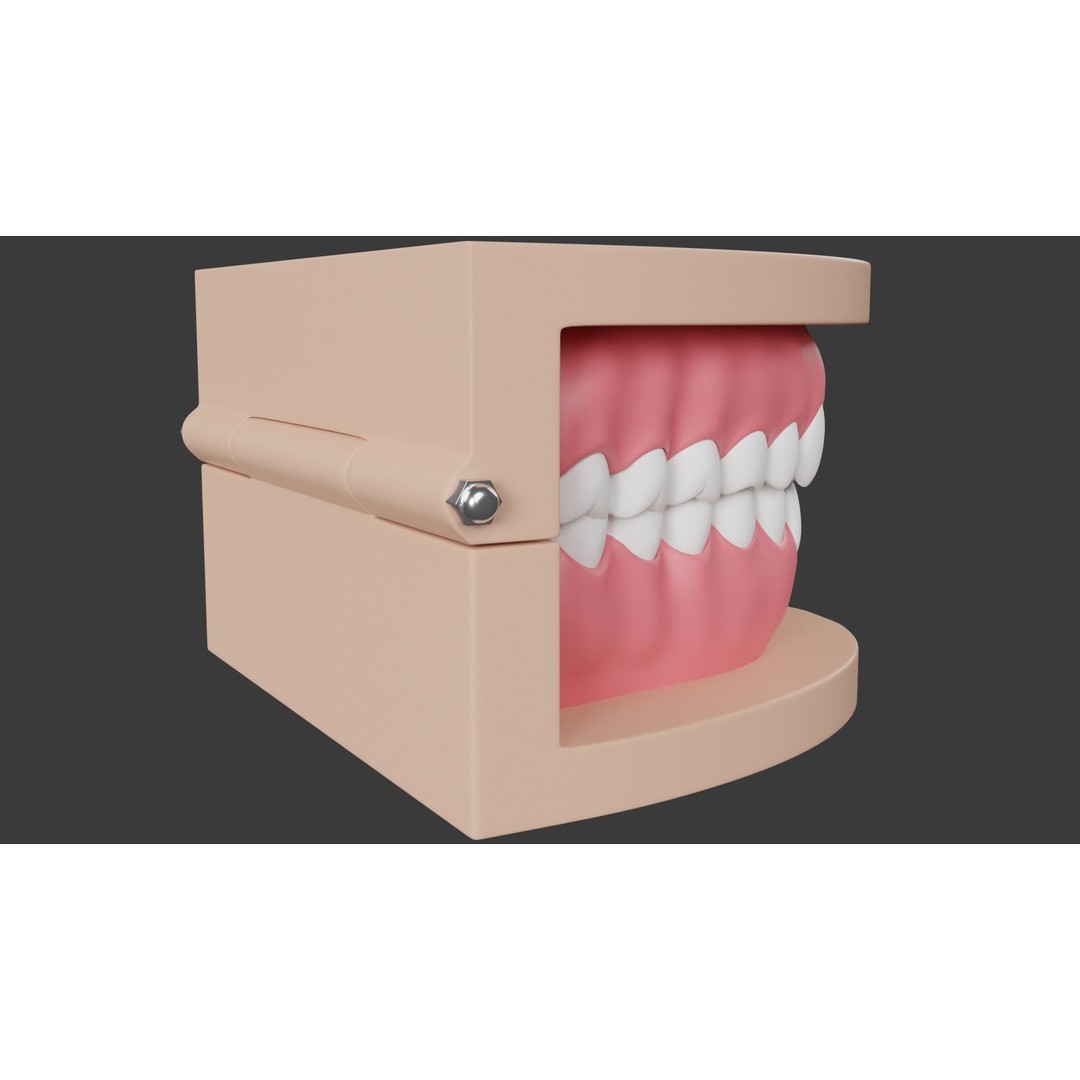 Dental Typodont Teeth 3D Model – Realistic Dental Asset, FBX, OBJ - View 8