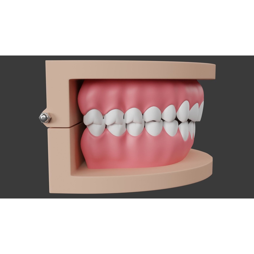 Dental Typodont Teeth 3D Model – Realistic Dental Asset, FBX, OBJ - View 9