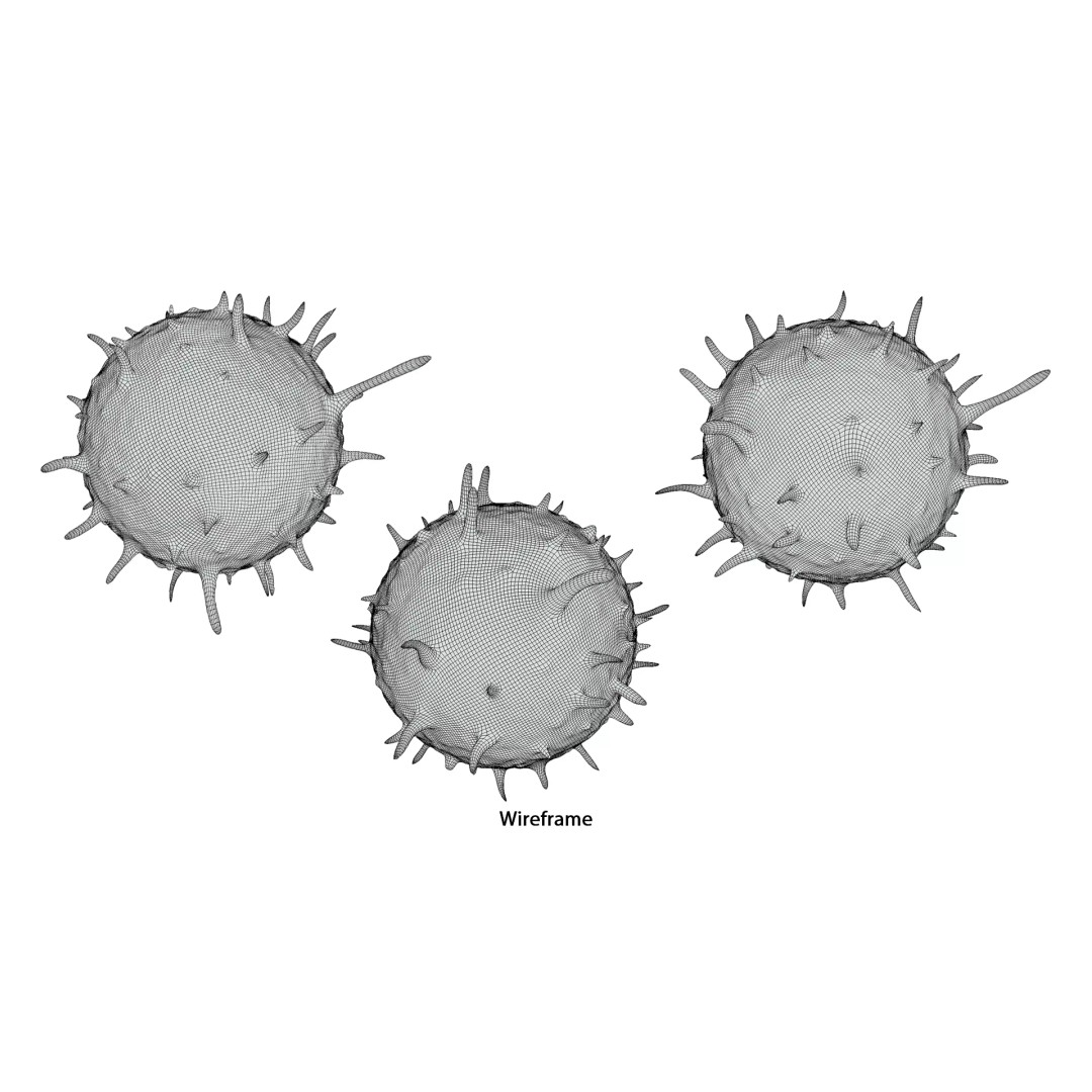 Lymphocyte White Blood Cell 3D Model – PBR Textured, FBX, OBJ, Blender