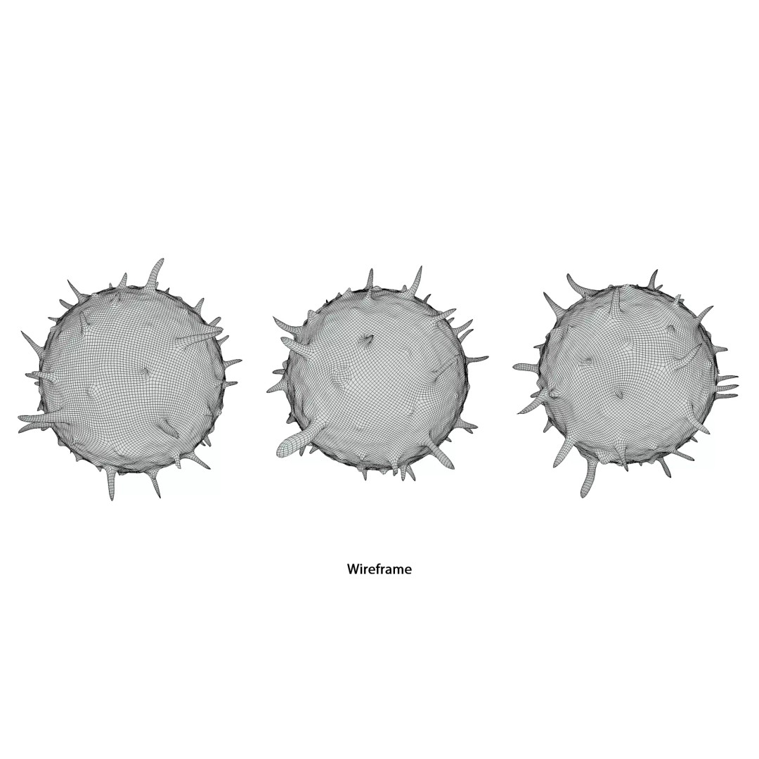 Lymphocyte White Blood Cell 3D Model – PBR Textured, FBX, OBJ, Blender - View 10