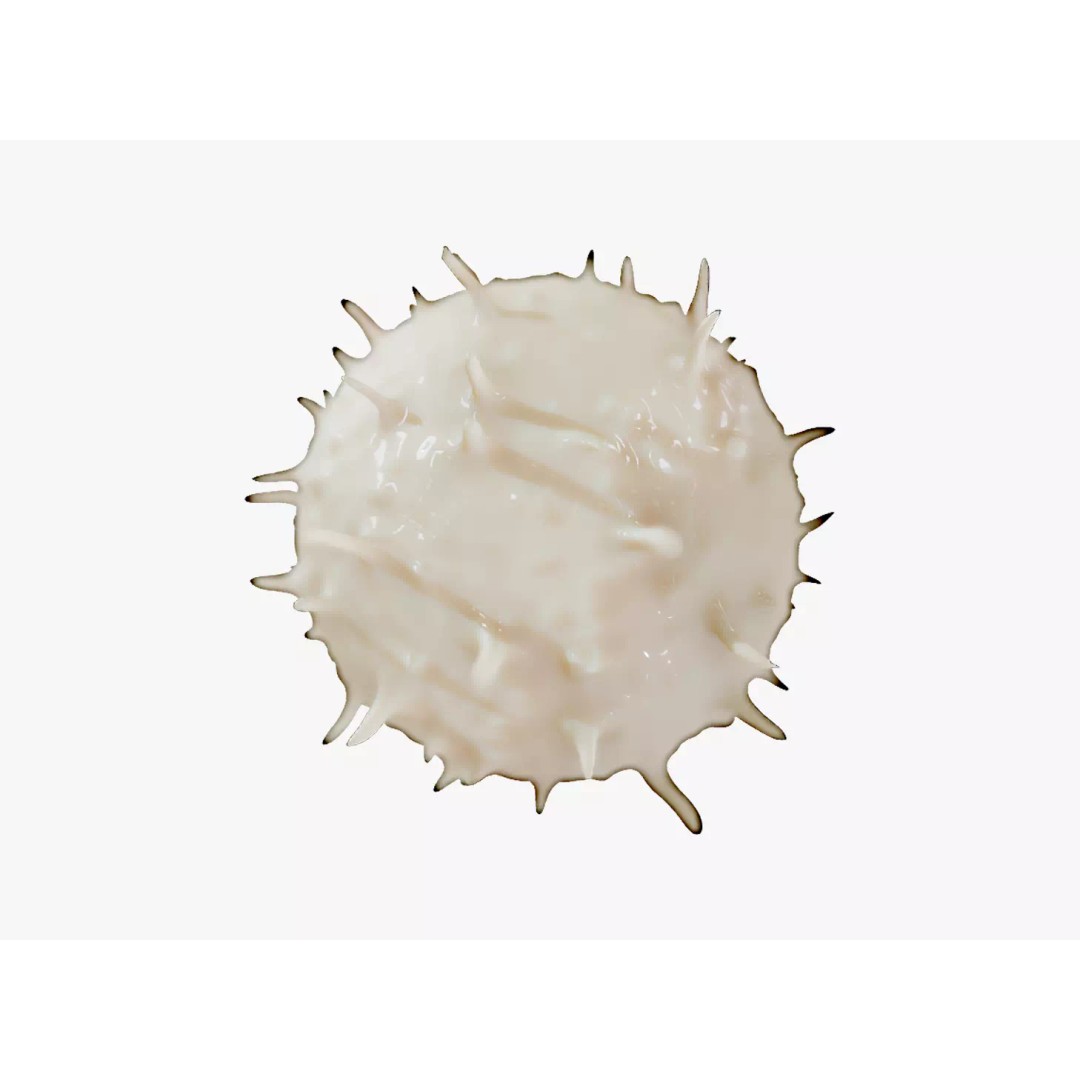 Lymphocyte White Blood Cell 3D Model – PBR Textured, FBX, OBJ, Blender - View 2