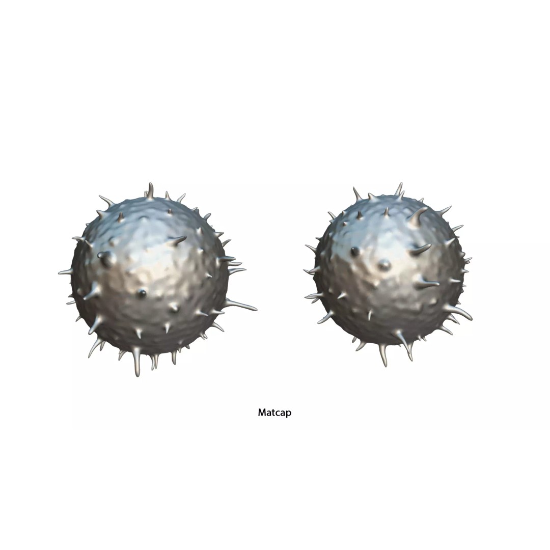 Lymphocyte White Blood Cell 3D Model – PBR Textured, FBX, OBJ, Blender - View 8