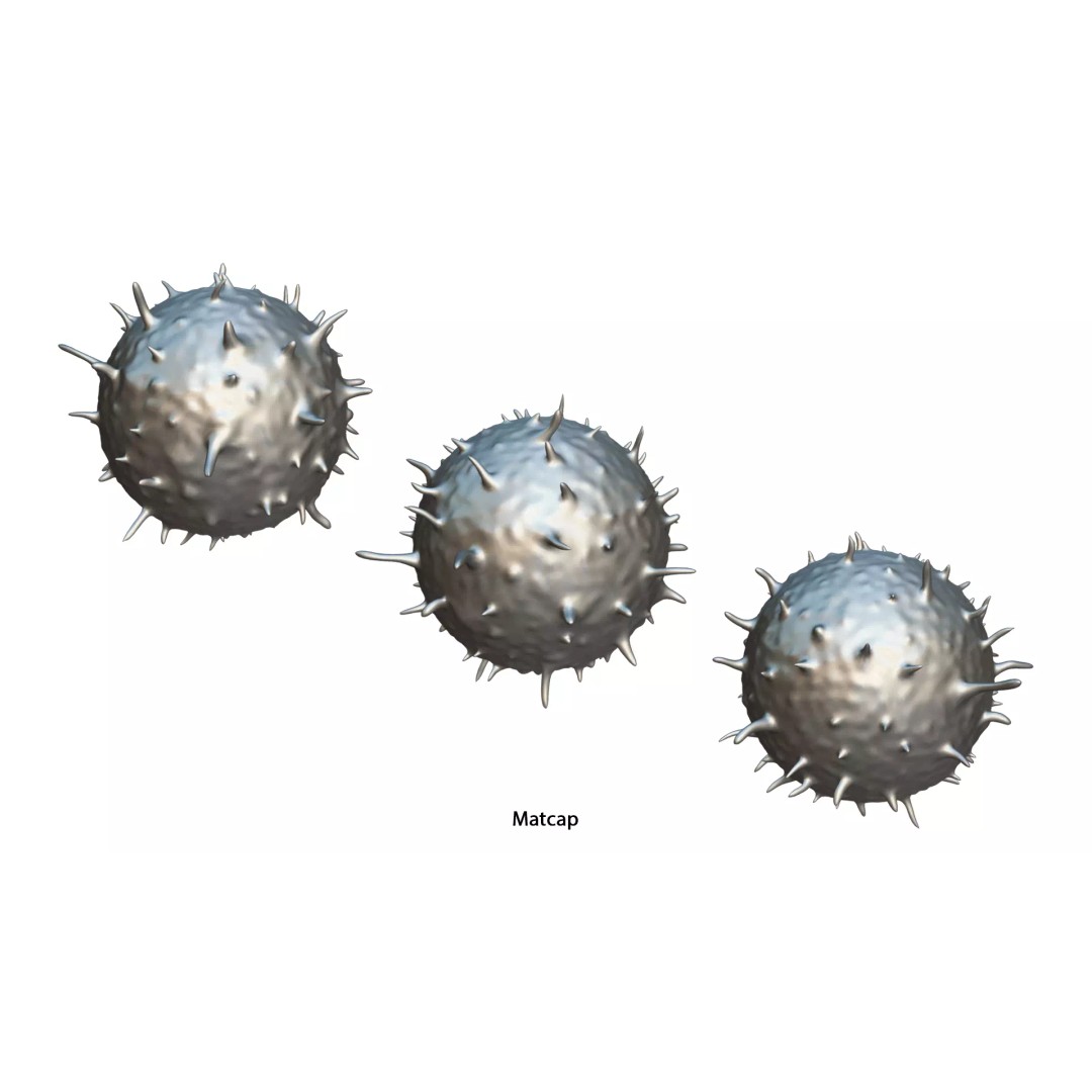 Lymphocyte White Blood Cell 3D Model – PBR Textured, FBX, OBJ, Blender - View 9