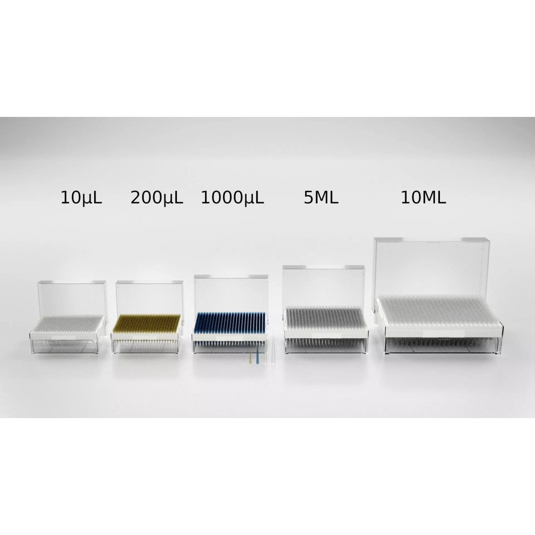 Pipette Tips Box 3D Model – Multichannel Tips 10µL to 10ML, FBX - View 2
