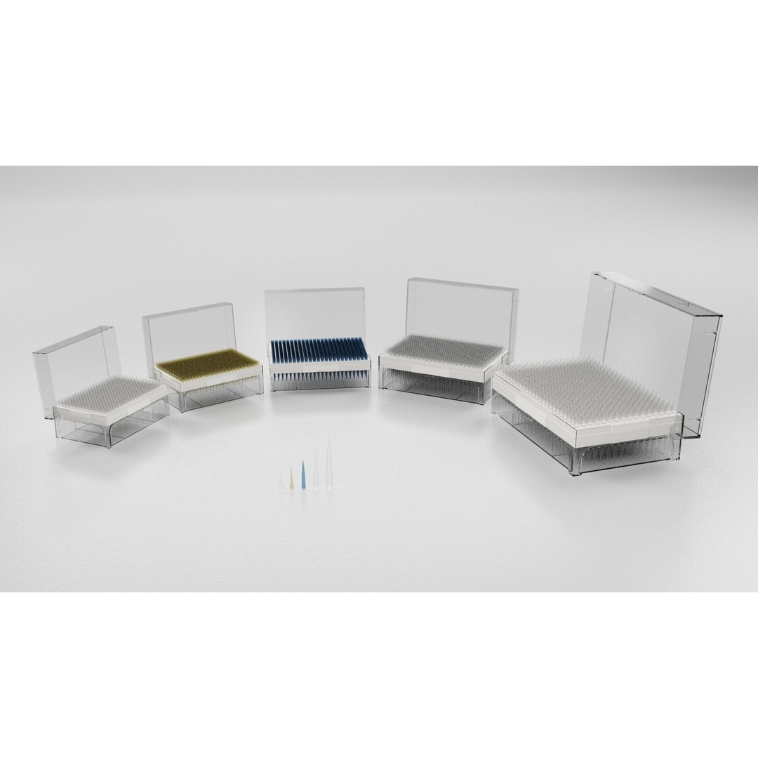 Pipette Tips Box 3D Model – Multichannel Tips 10µL to 10ML, FBX - View 7