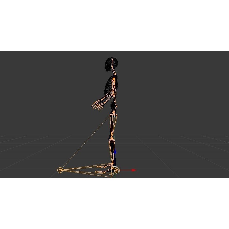 Female Skeleton 3D Model – Low Poly Rigged Asset, FBX, Blender