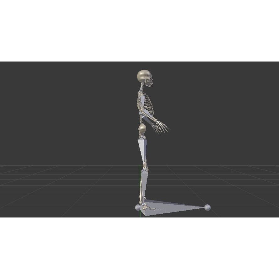 Female Skeleton 3D Model – Low Poly Rigged Asset, FBX, Blender - View 11