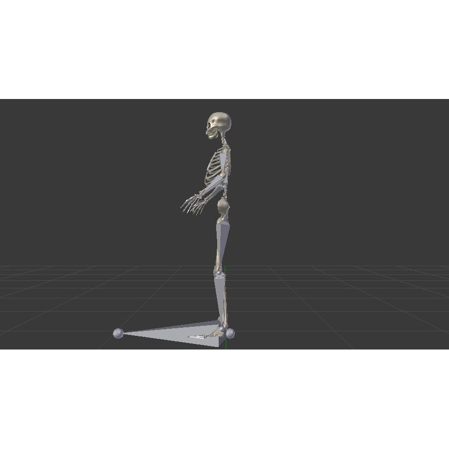 Female Skeleton 3D Model – Low Poly Rigged Asset, FBX, Blender - View 13