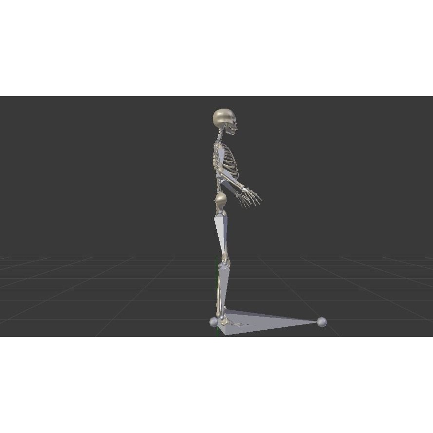 Female Skeleton 3D Model – Low Poly Rigged Asset, FBX, Blender - View 15