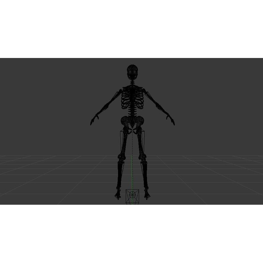 Female Skeleton 3D Model – Low Poly Rigged Asset, FBX, Blender - View 18