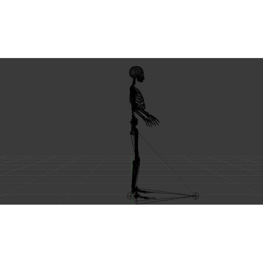 Female Skeleton 3D Model – Low Poly Rigged Asset, FBX, Blender - View 19