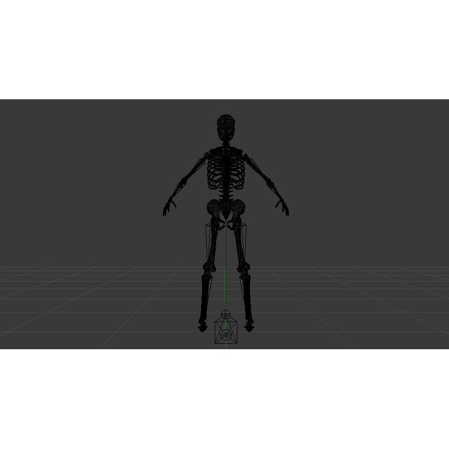 Female Skeleton 3D Model – Low Poly Rigged Asset, FBX, Blender - View 20