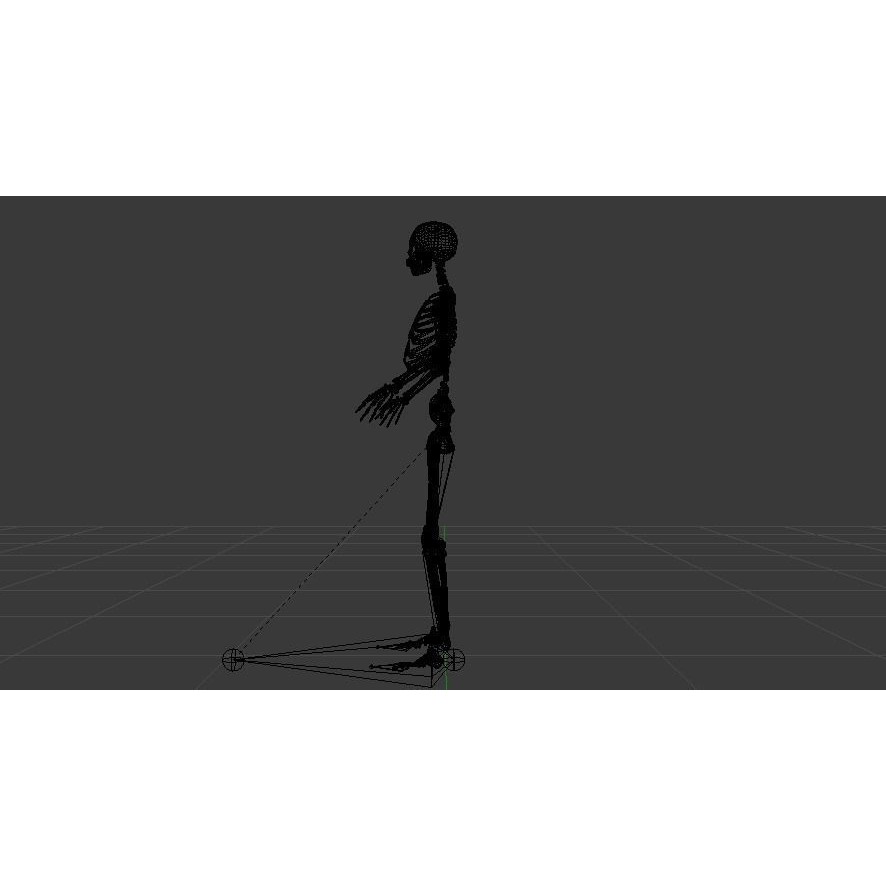 Female Skeleton 3D Model – Low Poly Rigged Asset, FBX, Blender - View 21