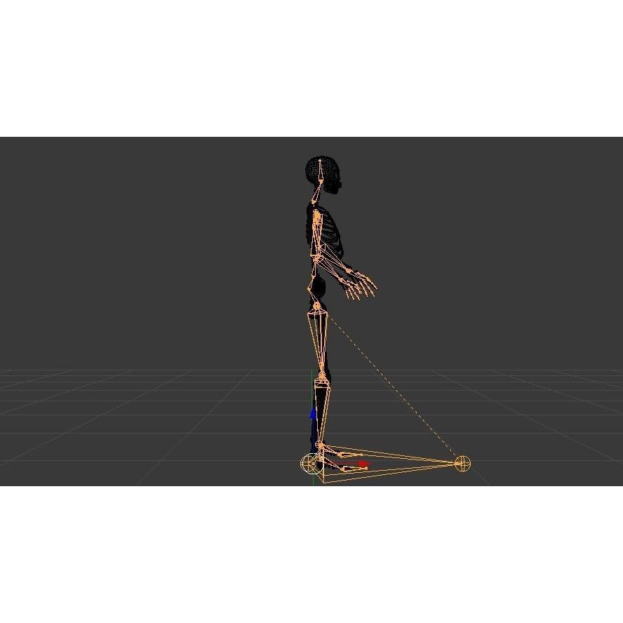 Female Skeleton 3D Model – Low Poly Rigged Asset, FBX, Blender - View 23