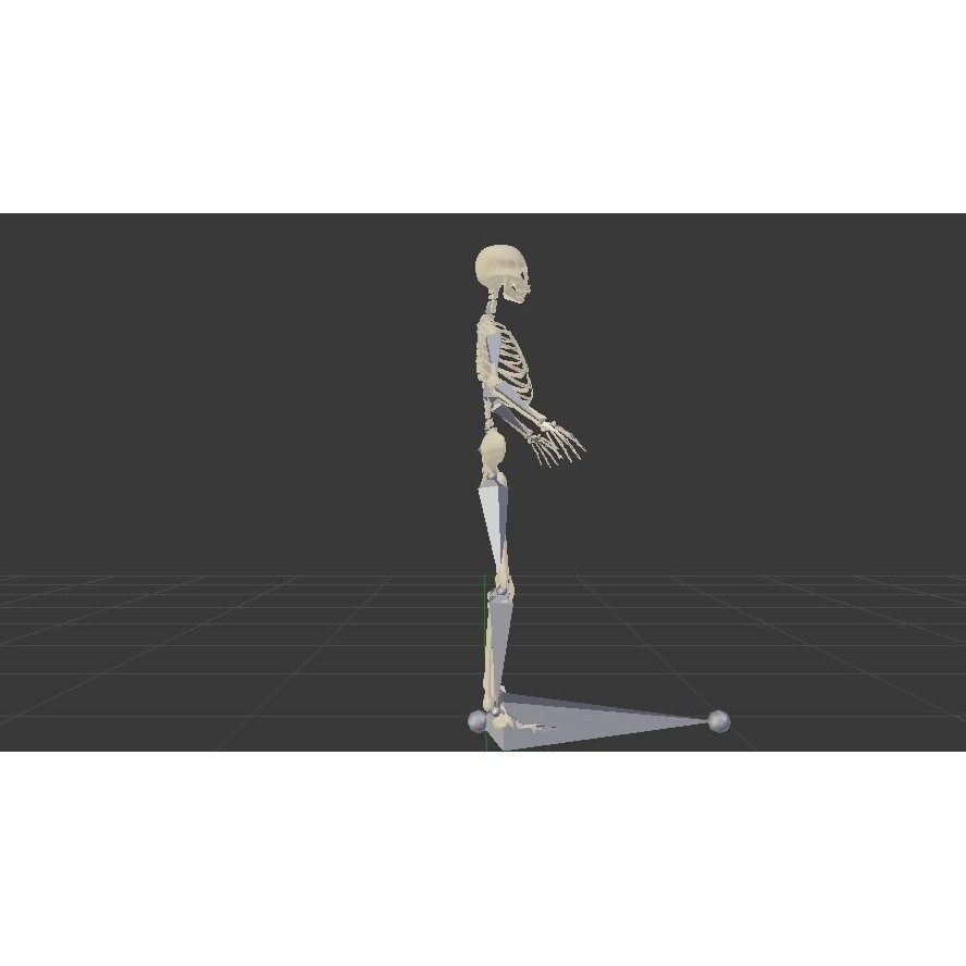 Female Skeleton 3D Model – Low Poly Rigged Asset, FBX, Blender - View 7