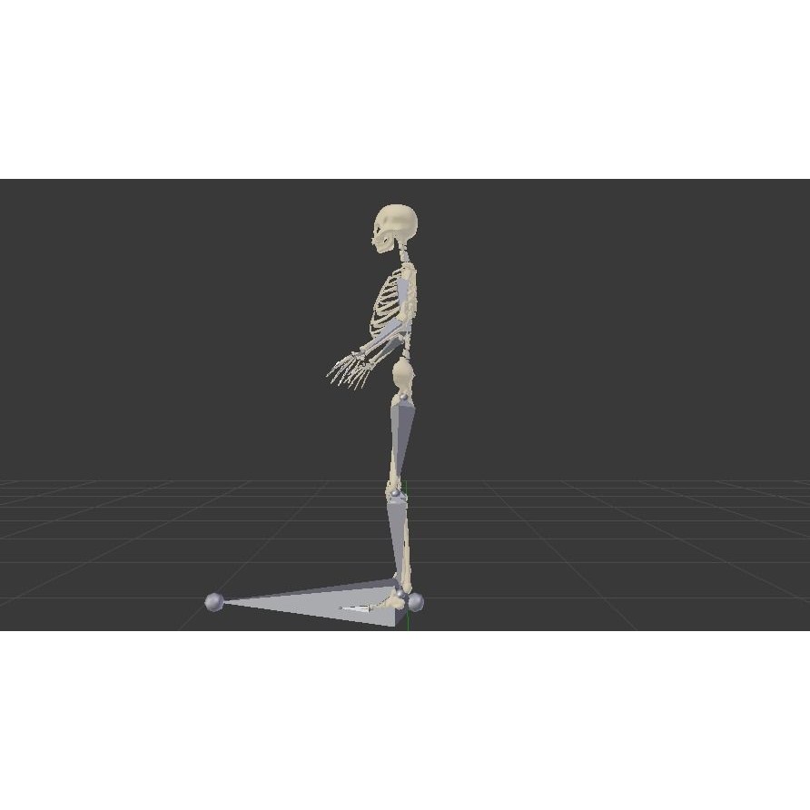 Female Skeleton 3D Model – Low Poly Rigged Asset, FBX, Blender - View 9