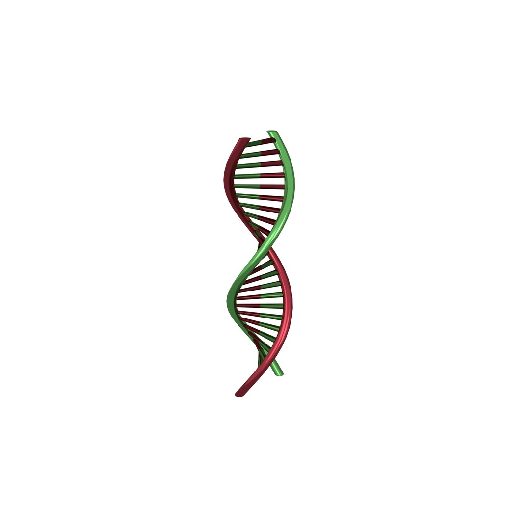 DNA Molecule 3D Model – Low Poly Molecular Structure, FBX, PBR Textures - View 3