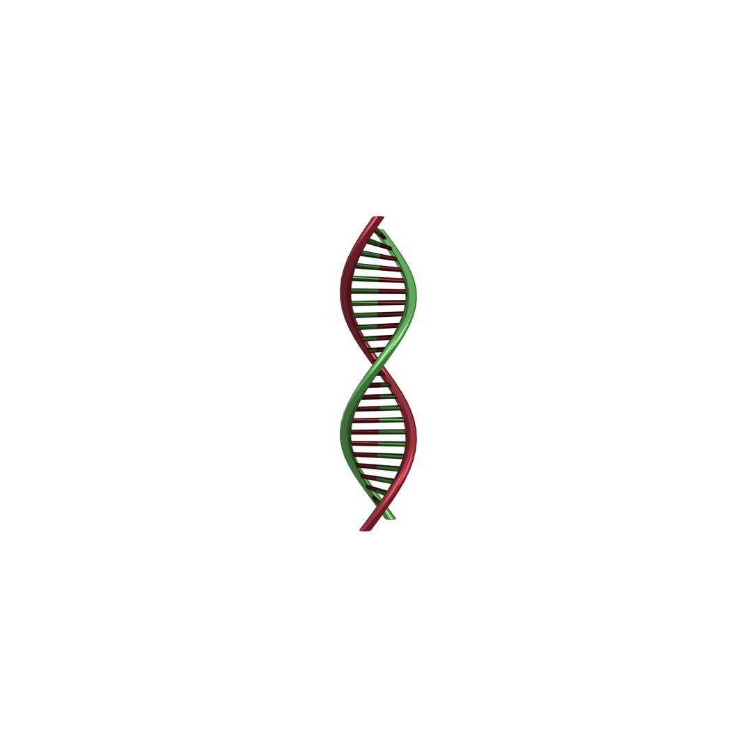 DNA Molecule 3D Model – Low Poly Molecular Structure, FBX, PBR Textures - View 4