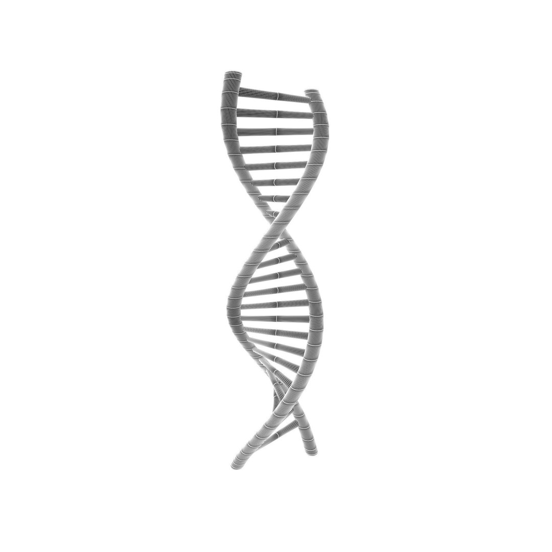 DNA Molecule 3D Model – Low Poly Molecular Structure, FBX, PBR Textures - View 6