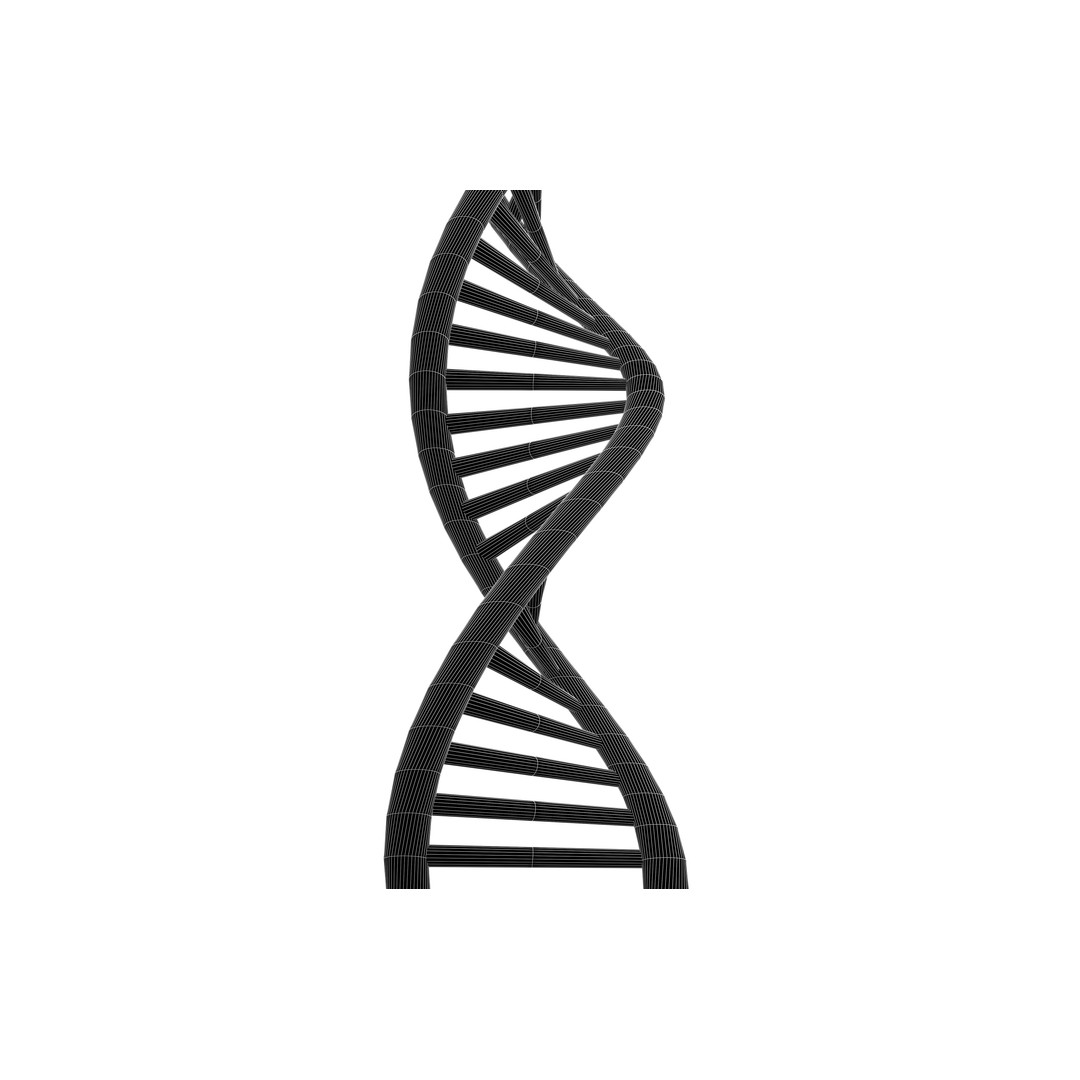 DNA Molecule 3D Model – Low Poly Molecular Structure, FBX, PBR Textures - View 8