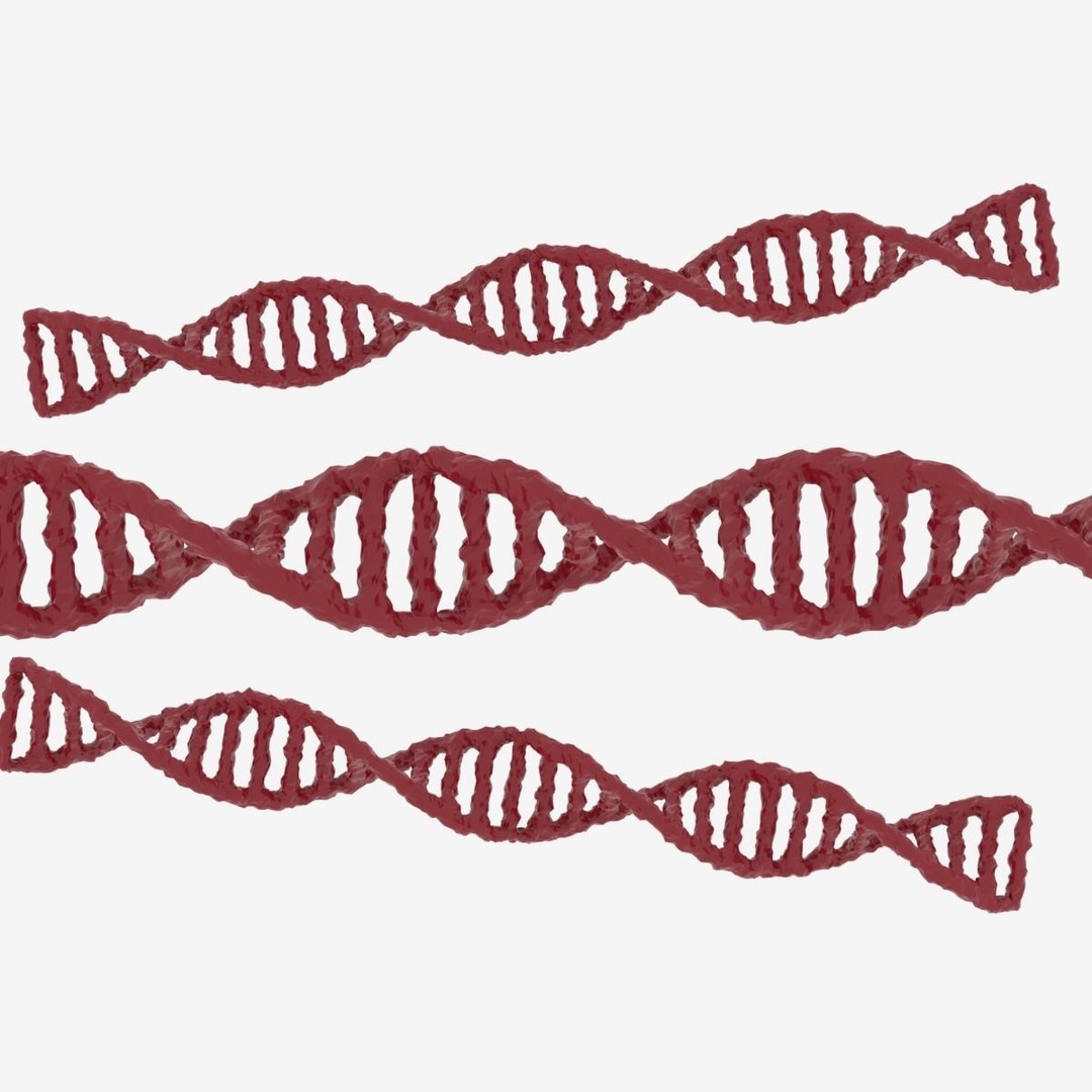 DNA 3D Model – Realistic Molecular Structure, PBR Textures, FBX