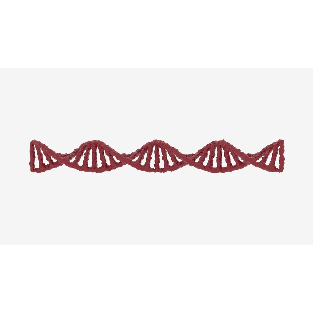 DNA 3D Model – Realistic Molecular Structure, PBR Textures, FBX - View 13
