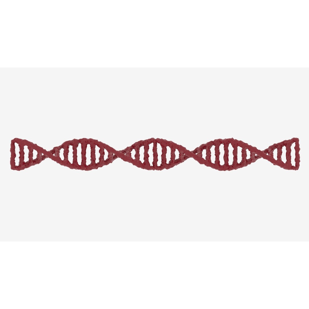 DNA 3D Model – Realistic Molecular Structure, PBR Textures, FBX - View 14