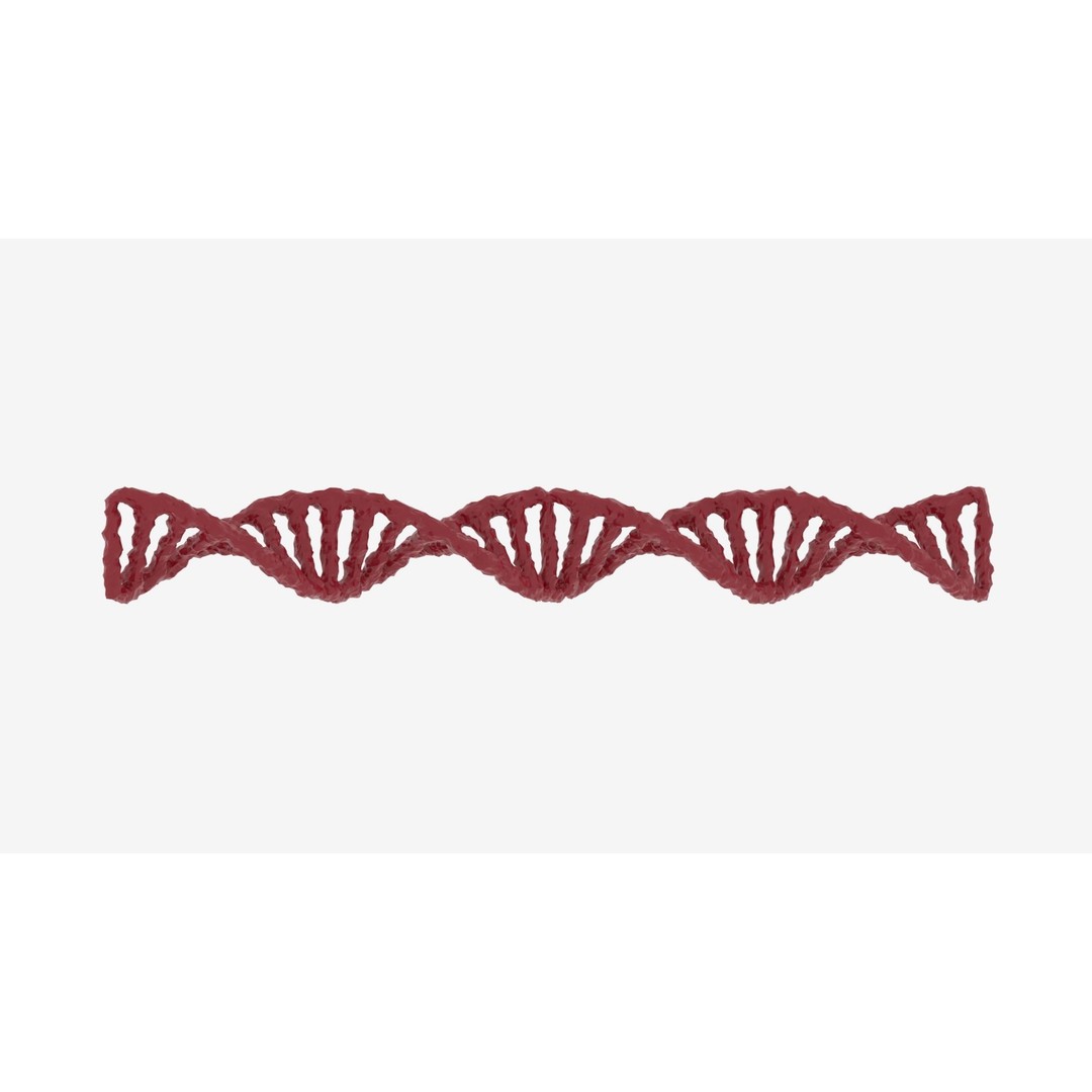 DNA 3D Model – Realistic Molecular Structure, PBR Textures, FBX - View 15