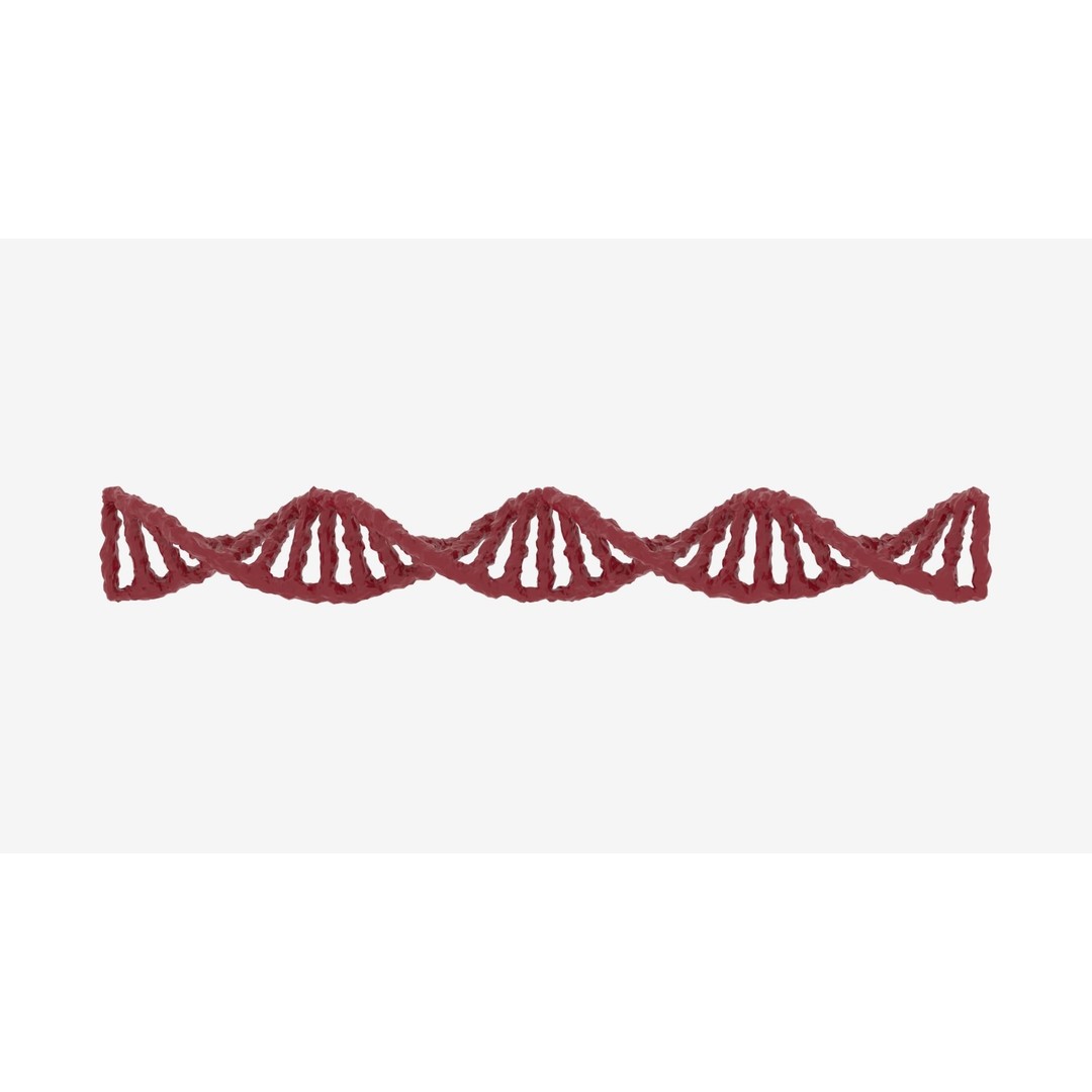 DNA 3D Model – Realistic Molecular Structure, PBR Textures, FBX - View 18