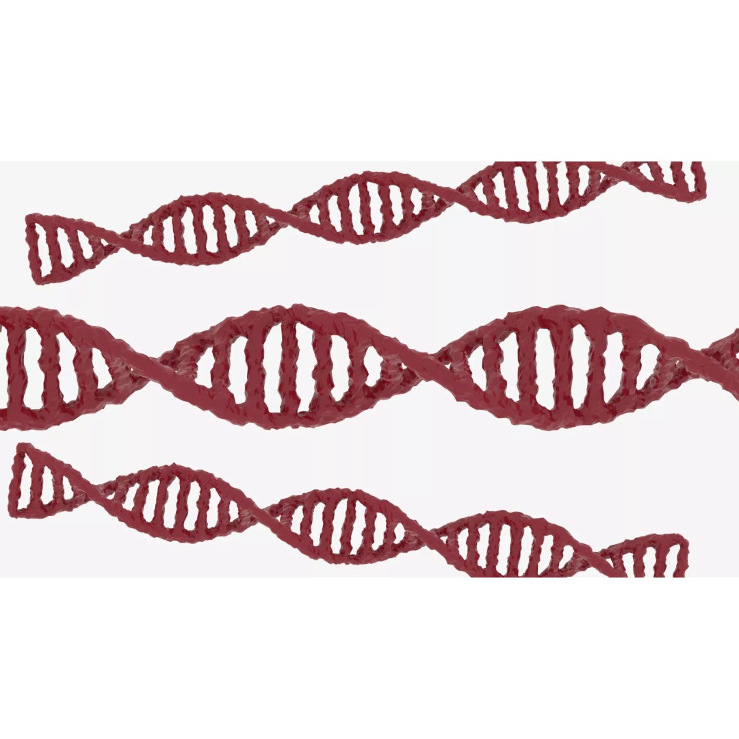 DNA 3D Model – Realistic Molecular Structure, PBR Textures, FBX - View 2