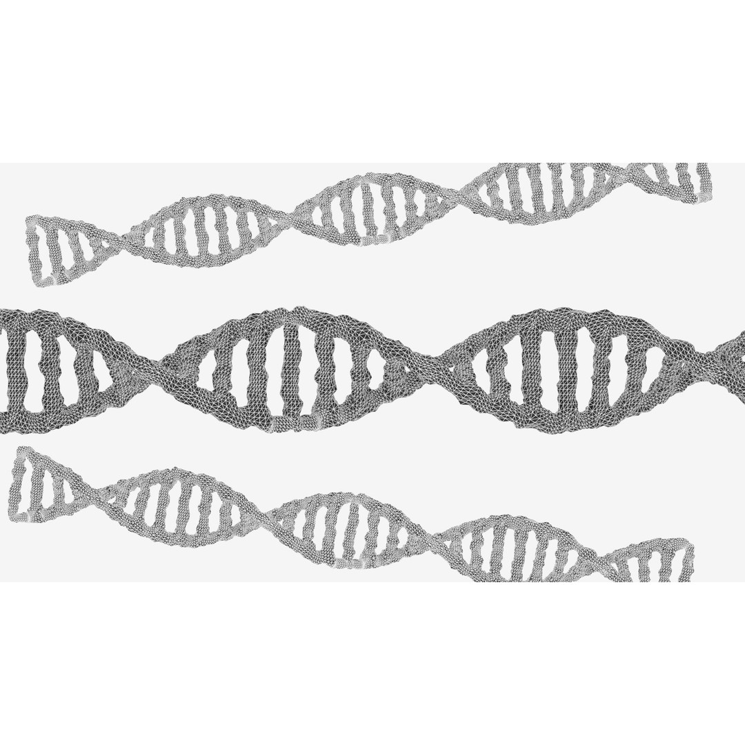 DNA 3D Model – Realistic Molecular Structure, PBR Textures, FBX - View 4