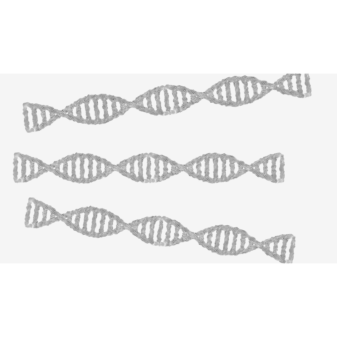 DNA 3D Model – Realistic Molecular Structure, PBR Textures, FBX - View 5