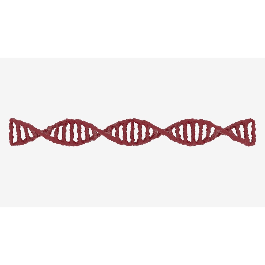 DNA 3D Model – Realistic Molecular Structure, PBR Textures, FBX - View 6