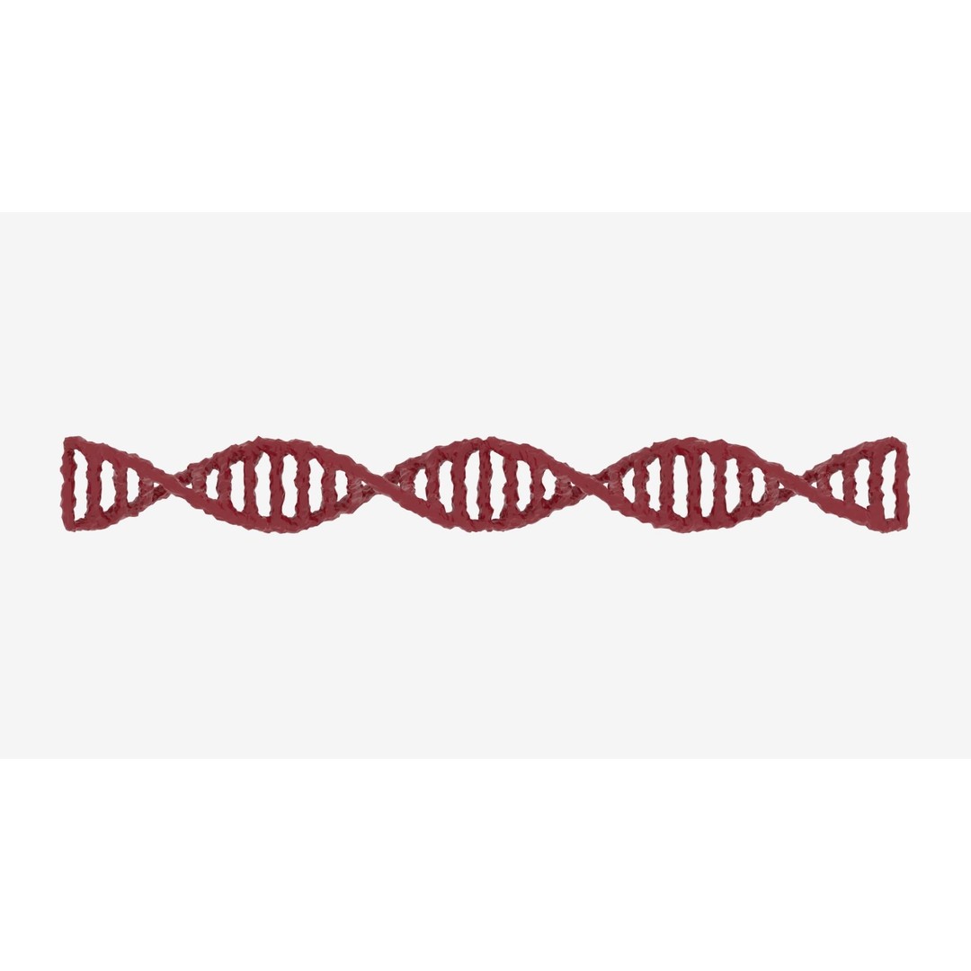 DNA 3D Model – Realistic Molecular Structure, PBR Textures, FBX - View 7