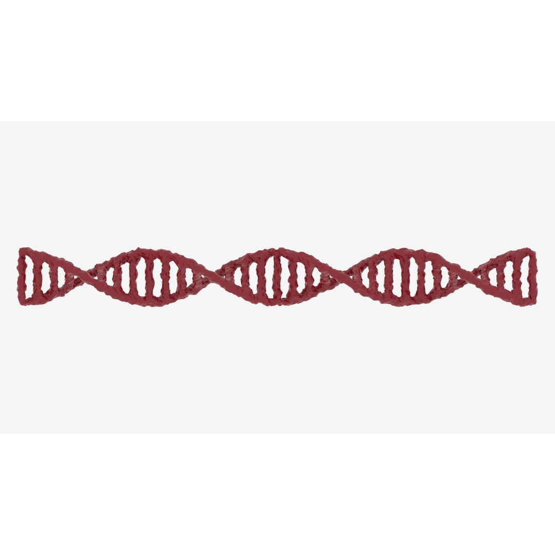 DNA 3D Model – Realistic Molecular Structure, PBR Textures, FBX - View 8
