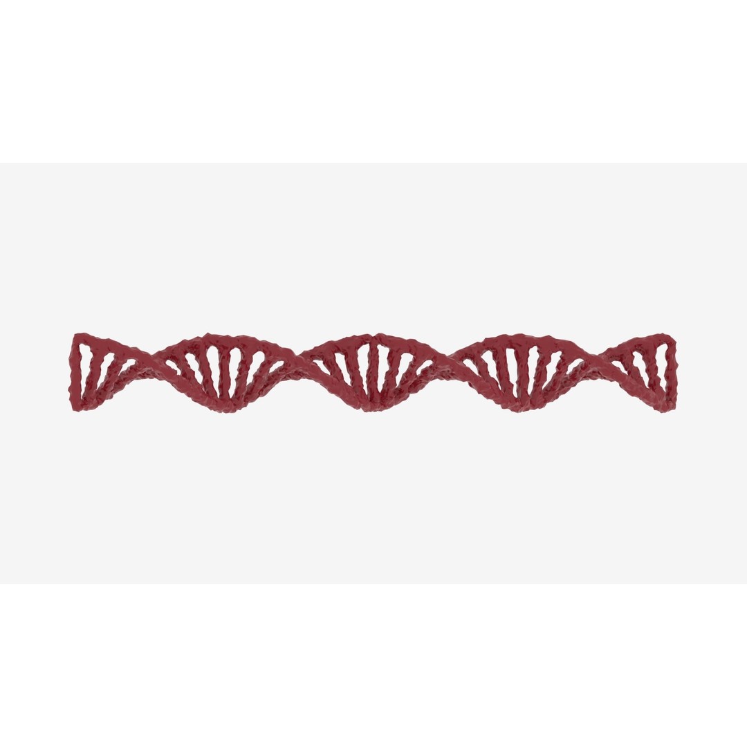 DNA 3D Model – Realistic Molecular Structure, PBR Textures, FBX - View 9