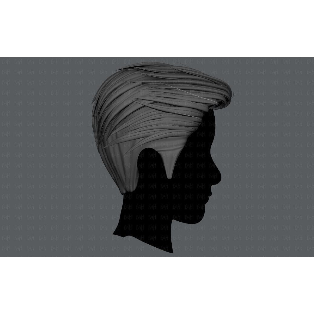Cartoon Male Hair 3D Model – Low Poly Animation Asset, FBX - View 9