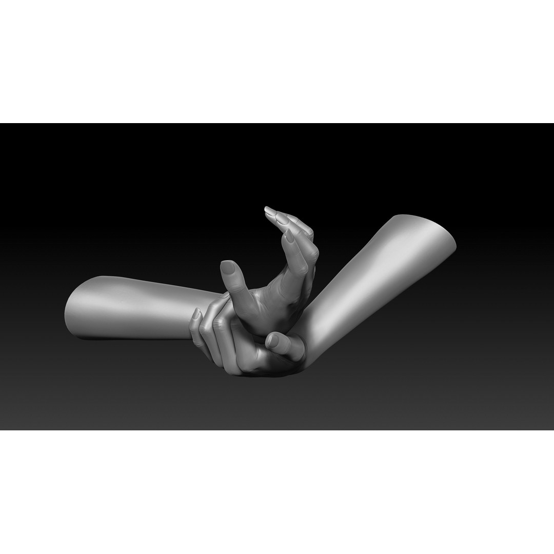 3D Printable Female Hands 3D Model – Realistic Poses Pack, OBJ & STL - View 33