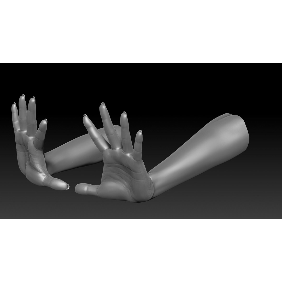 3D Printable Female Hands 3D Model – Realistic Poses Pack, OBJ & STL - View 38