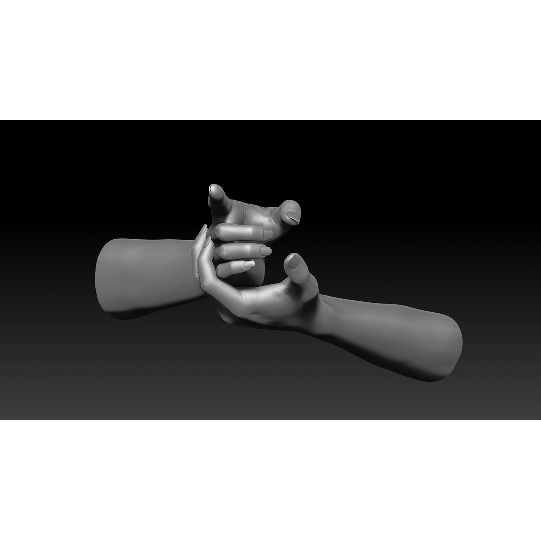 3D Printable Female Hands 3D Model – Realistic Poses Pack, OBJ & STL - View 39