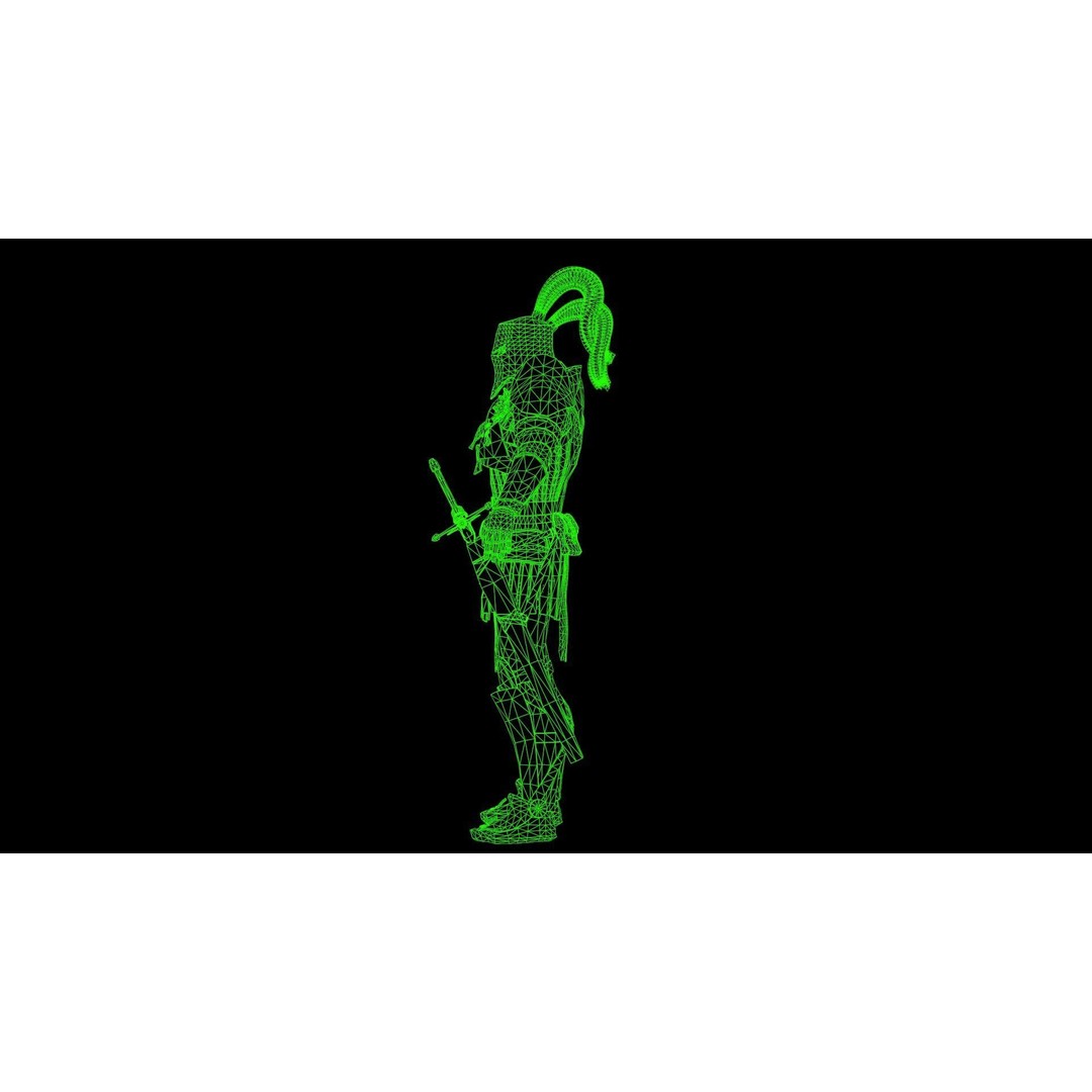 Crusader 3D Model – Low Poly Rigged Character with Animations - View 5