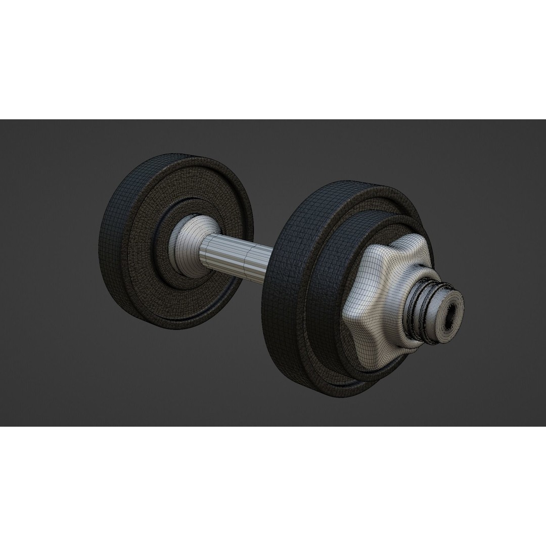 Realistic Gym Dumbbell 3D Model – High Poly Workout Equipment, FBX, OBJ - View 11