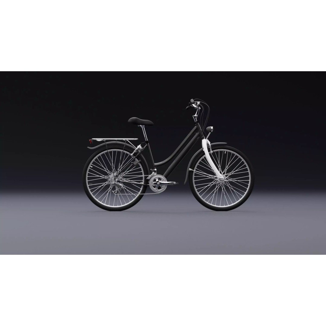 Bicycle 3D Model – Realistic High Poly Asset for Animation, FBX, OBJ - View 3
