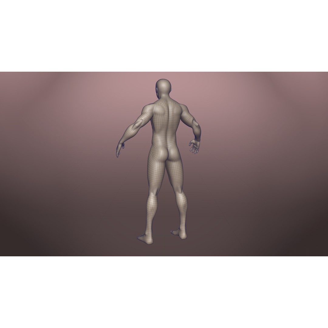 Stylized Basemesh Pack 3D Model – Low Poly Character Meshes, FBX/Blender
