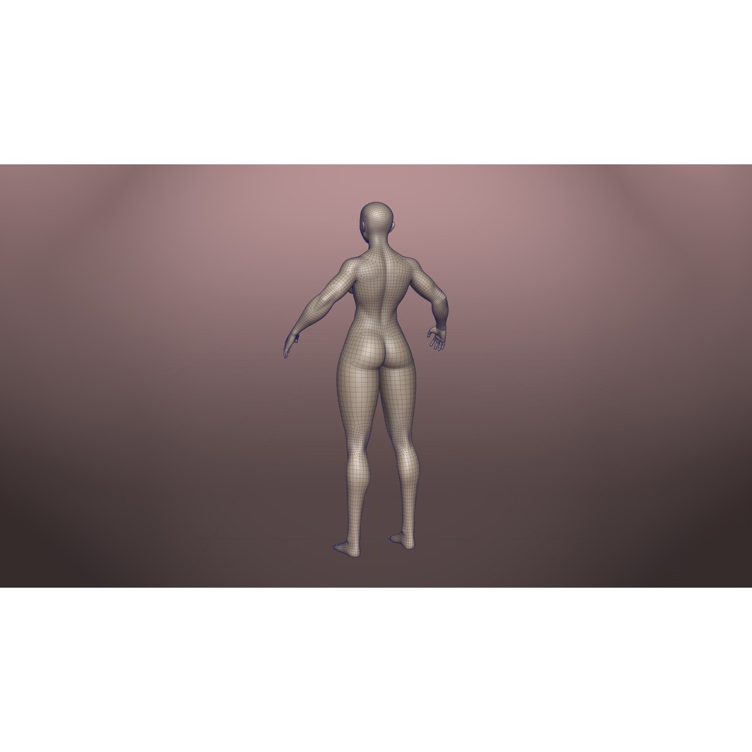 Stylized Basemesh Pack 3D Model – Low Poly Character Meshes, FBX/Blender - View 10