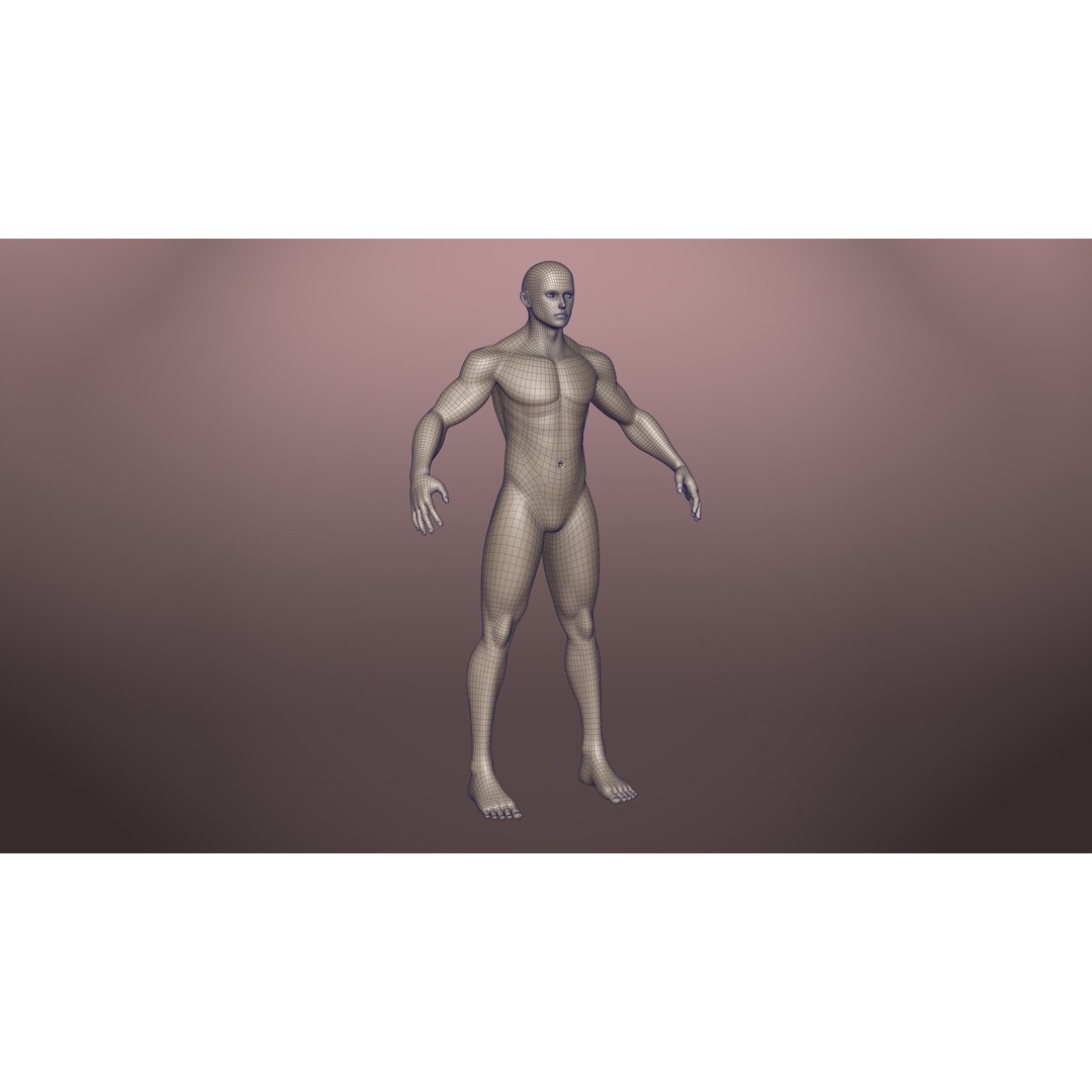 Stylized Basemesh Pack 3D Model – Low Poly Character Meshes, FBX/Blender - View 11
