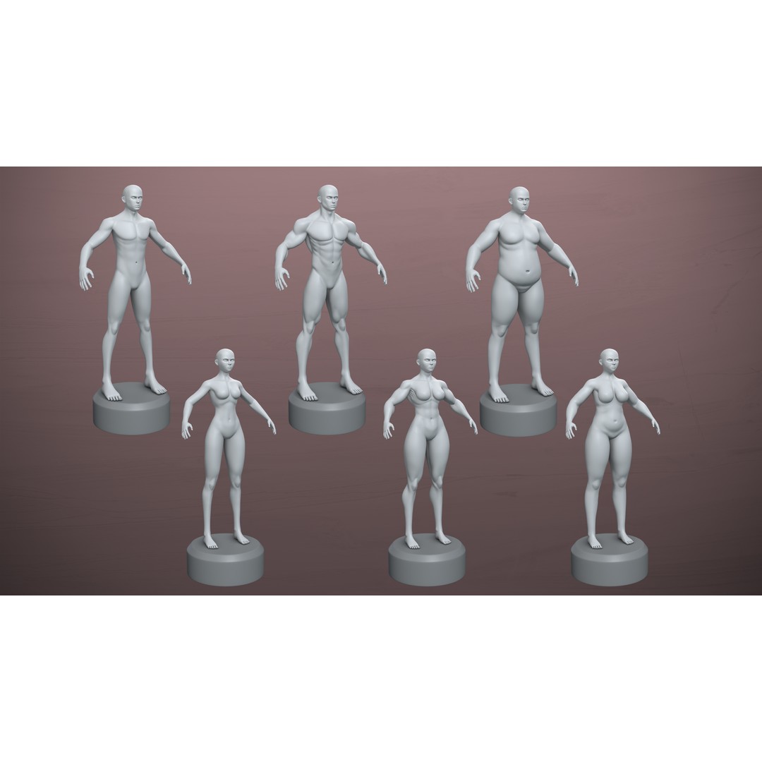 Stylized Basemesh Pack 3D Model – Low Poly Character Meshes, FBX/Blender - View 3